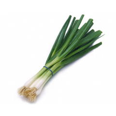 Onion, Green Onion, Green