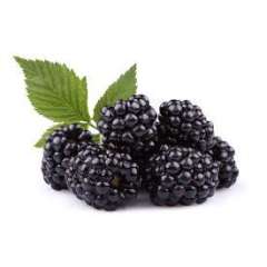 Blackberries (possible shorts) Blackberries (possible shorts)