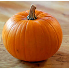 Pumpkin, Sugar Baby ON Pumpkin, Sugar Baby ON