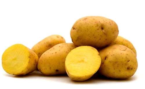 Potato, Yellow ON