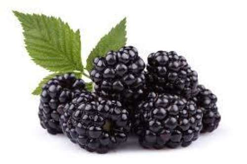 Blackberries (possible shorts)