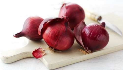Onion, Red ON