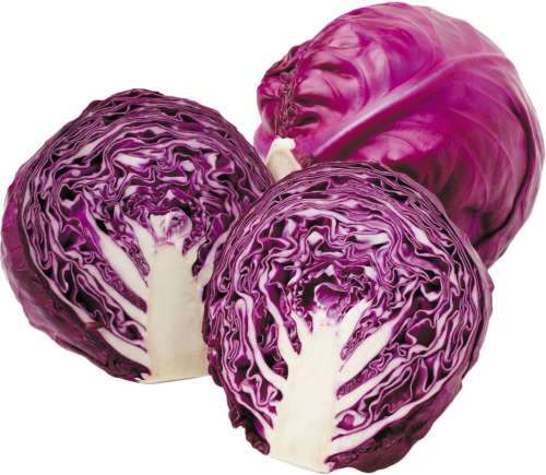 Cabbage, Red ON