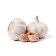 Garlic, Organic ON