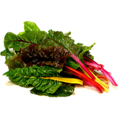 Chard, Rainbow or Red ON Chard, Rainbow or Red ON