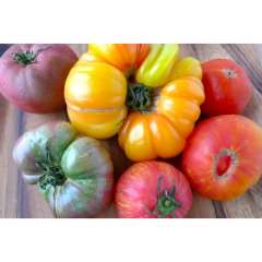 Tomato, Slicing ON Tomato, Slicing ON
