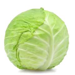 Cabbage, Green ON (or Quebec)