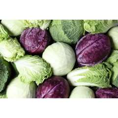 Kale & Cabbage ON Kale & Cabbage ON