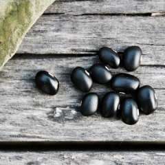 Fresh Acres Black Beans