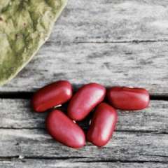 Fresh Acres Kidney Beans