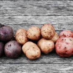 Fresh Acres, Organic Potato ON