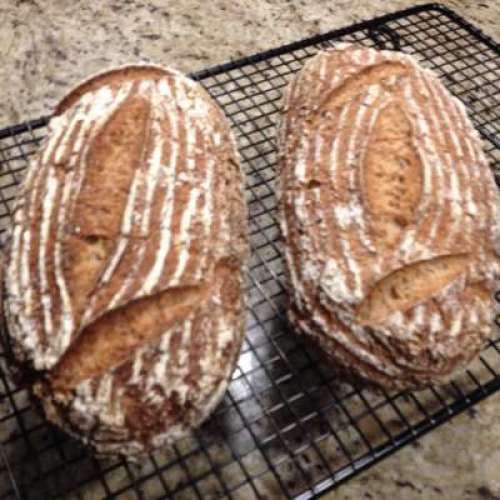 Gluten Free Artisan Sourdough Bread (1.5lb loaf) *GF *V