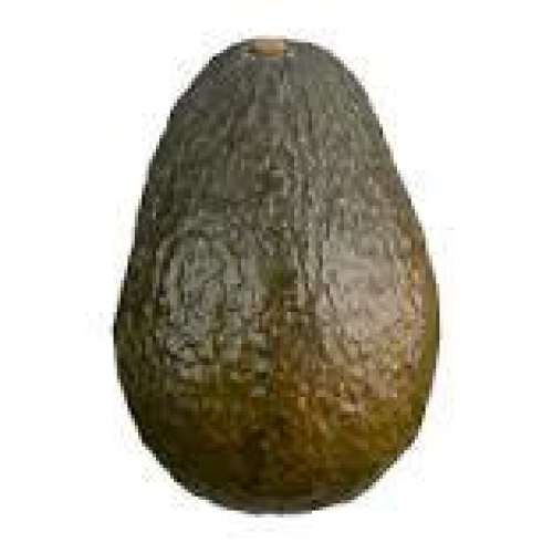 Avocado, Fair Trade