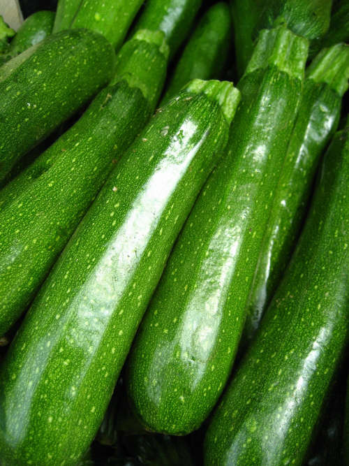 Zucchini, ON