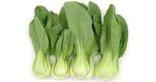 Bok Choy, Baby ON