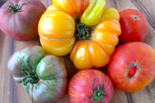 Tomato, Slicing ON
