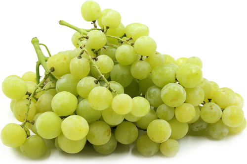 Grapes, Sugarone Green
