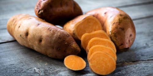 Sweet Potato, NC