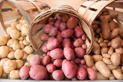 Potato, Organic Bulk 50lb ON (while supply lasts)