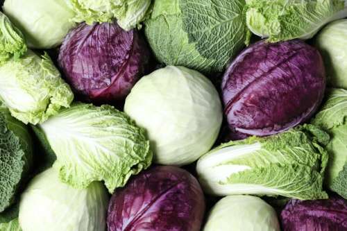 Kale & Cabbage ON
