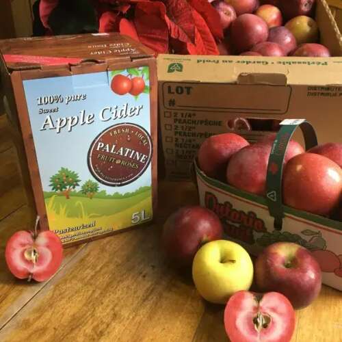 Apple Cider (SA Farm)