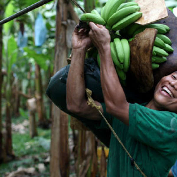 Why we only bring in Fair-Trade Banana's